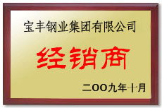 九龙宝丰经销商